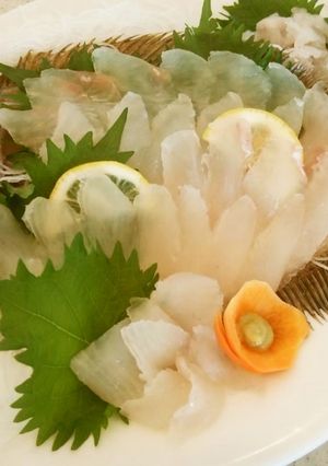 魚のさばき方(5枚おろし)-レシピのメイン写真