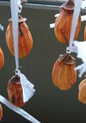 初心者 簡単！はじめての干し柿-レシピのメイン写真