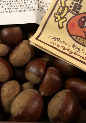 おいしさそのまま!栗の冷凍保存法-レシピのメイン写真