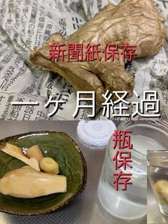 生姜の保存 水に浸けたら1ヶ月超-レシピのメイン写真