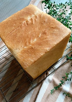 発酵種＆冷蔵発酵　N字成形の角型食パン-レシピのメイン写真
