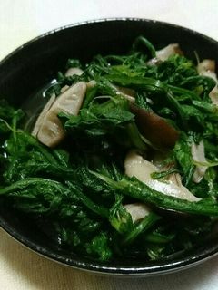 春菊ときのこの煮浸し-レシピのメイン写真