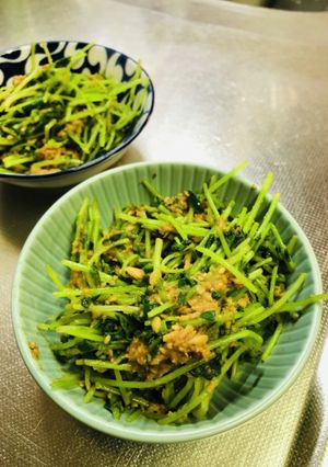 豆苗とツナの胡麻和え-レシピのメイン写真