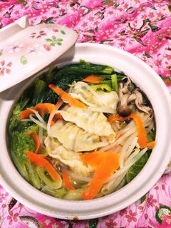 餃子とあまり野菜の中華スープ-レシピのメイン写真