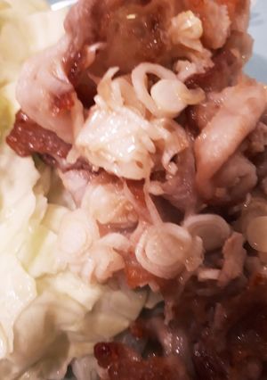 豚肉ネギ塩レモン焼き-レシピのメイン写真