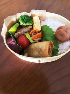 10/26春巻き弁当(麻婆豆腐リメイク)-レシピのメイン写真