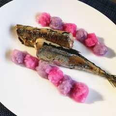 รูปของ パープルとピンクの大根おろし