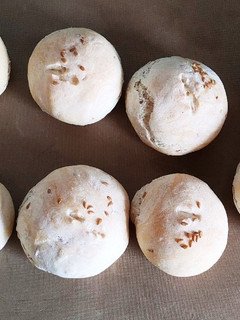 簡単ゴマパン イタリアより-レシピのメイン写真