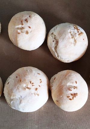 簡単ゴマパン イタリアより-レシピのメイン写真