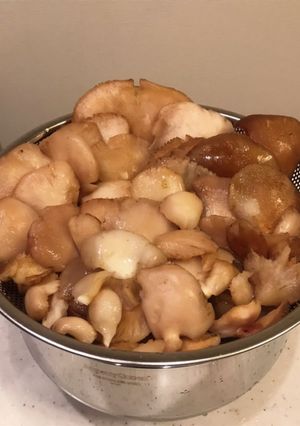 山のフカヒレ ♪ むきたけの下処理-レシピのメイン写真