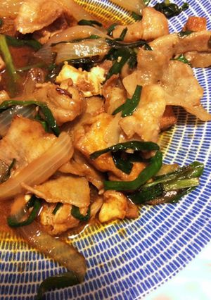 厚あげ豚肉ニラ玉ねぎ炒め-レシピのメイン写真