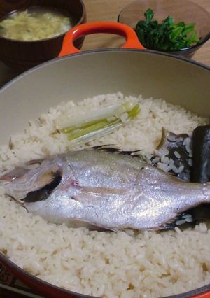もうお店でたのまない！ルクルーゼで鯛飯☆-レシピのメイン写真