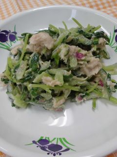ささみと豆苗の梅マヨサラダ-レシピのメイン写真