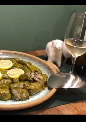 ギリシャ料理 ドルマダキャ-レシピのメイン写真