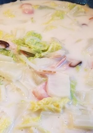 簡単コトコト白菜ミルクスープ-レシピのメイン写真