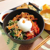 DVD 焼肉トラジの技術Ⅲキムチ、ナムルの作り方・スープ、タレ、調味料の作り方 DVD 焼肉トラジの技術Ⅲ キムチ、ナムルの作り方・スープ、タレ
