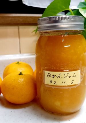 ごろっと！みかんジャム！-レシピのメイン写真
