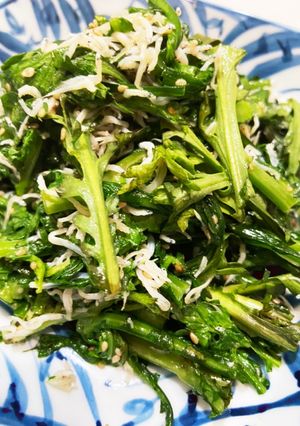 子供がバクバク食べる魔法のしらす春菊-レシピのメイン写真