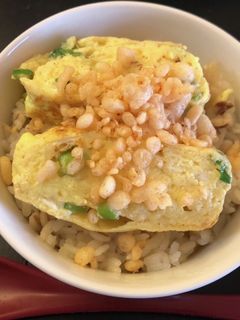 おでん出汁でたまご焼き丼-レシピのメイン写真