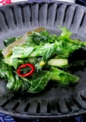水菜の漬物　硬い水菜にも。-レシピのメイン写真