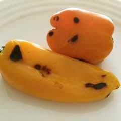 รูปของ apple piment