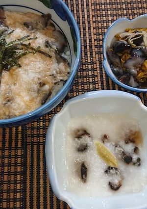 ナマコのやまかけ丼と酢のもの-レシピのメイン写真