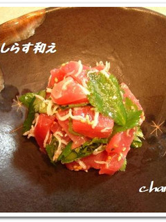 ★鮪のしらすゴマ油和え★-レシピのメイン写真