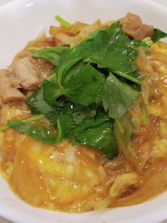 とろっと甘~い玉子丼・親子丼-レシピのメイン写真