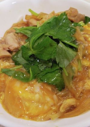 とろっと甘~い玉子丼・親子丼-レシピのメイン写真