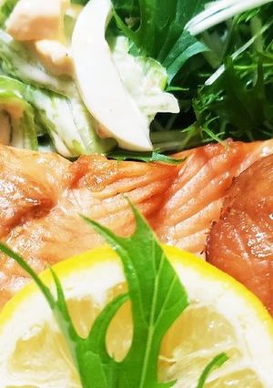 お年寄り絶賛シリーズ☆秋鮭、生姜焼き☆-レシピのメイン写真