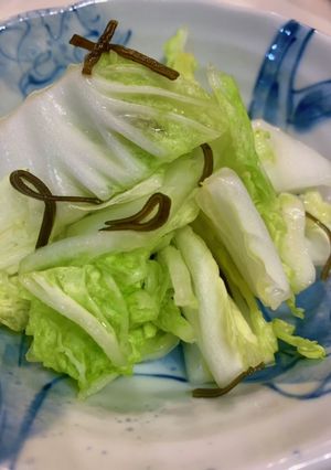 腹ペコ男子パクパク！白菜の浅漬け！-レシピのメイン写真