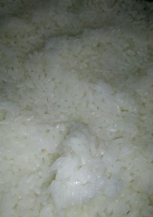 新米 米○○合とか水○○CCとか簡単-レシピのメイン写真