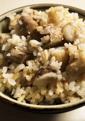 自然薯のむかごじゃない玄米御飯！-レシピのメイン写真