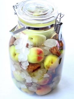 皆の大好きな【自家製梅酒】-レシピのメイン写真