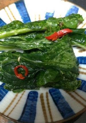 カブの葉の野沢菜わさび漬け風☆-レシピのメイン写真