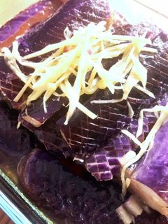 頑張ったふりナスの揚げ浸し-レシピのメイン写真