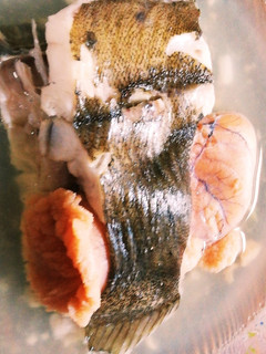 貴女風味で子持ちカレイの水煮♥ゆりさん風-レシピのメイン写真