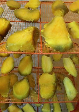 干し芋（天日干し）-レシピのメイン写真