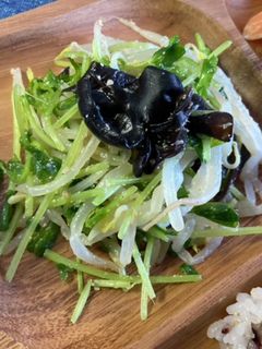 もやしと豆苗ときくらげのあっさりサラダ-レシピのメイン写真