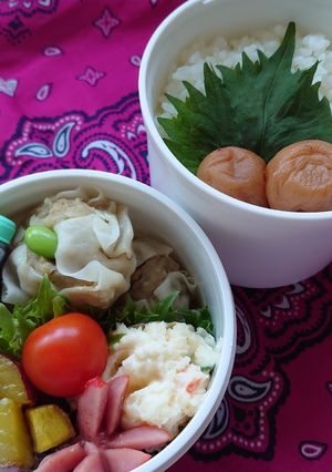2020/11/11 焼売弁当-レシピのメイン写真