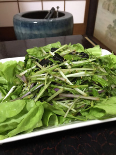 農家の食卓〜水菜のやみつきサラダ〜-レシピのメイン写真
