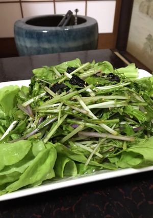 農家の食卓〜水菜のやみつきサラダ〜-レシピのメイン写真