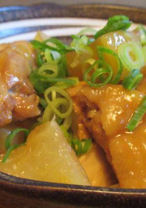 鶏もも肉と厚揚げと大根の煮物-レシピのメイン写真