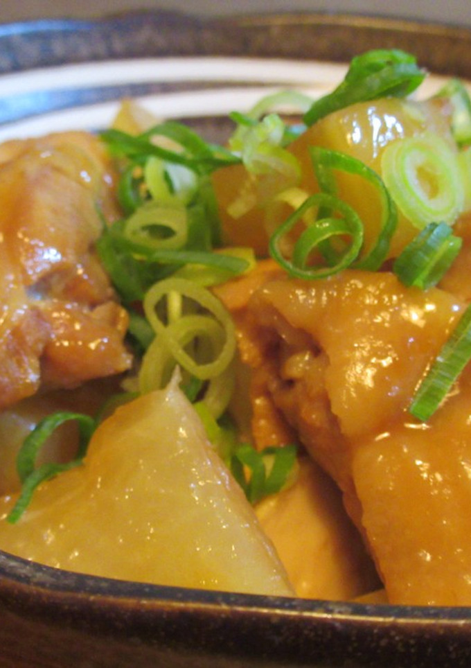 鶏もも肉と厚揚げと大根の煮物-レシピのメイン写真