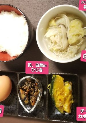 白菜鍋自家製白菜ひじきかぼちゃマヨチー♡-レシピのメイン写真