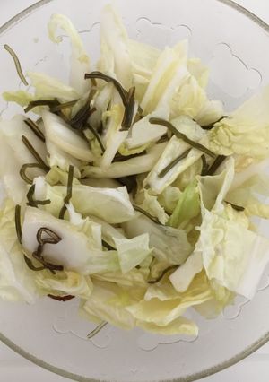 塩昆布白菜-レシピのメイン写真