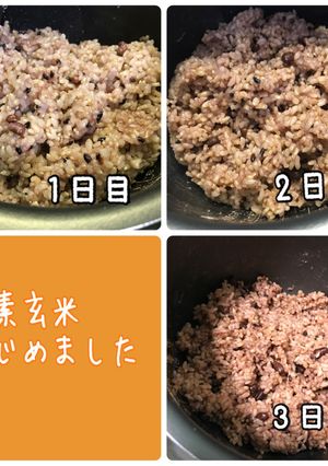 炊飯器で発芽酵素玄米-レシピのメイン写真