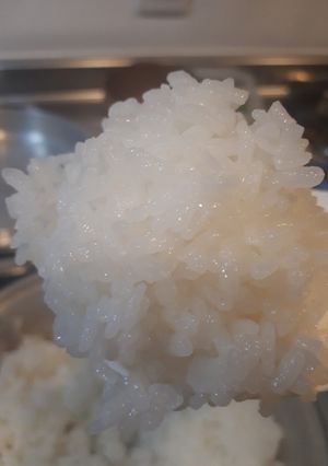ムスイ鍋で簡単！ご飯の炊き方-レシピのメイン写真