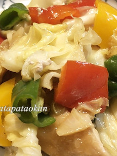 鶏むね肉とキャベツの中華風炒め物-レシピのメイン写真
