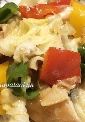鶏むね肉とキャベツの中華風炒め物-レシピのメイン写真